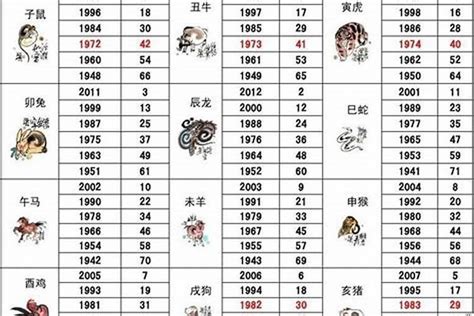 1989 属相